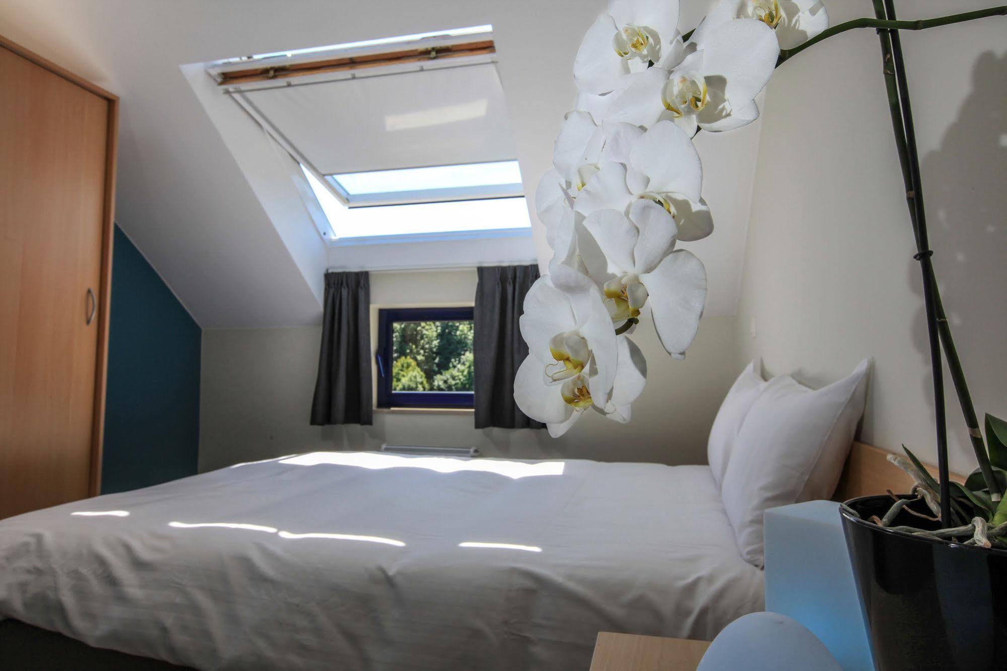 Maisons De Vacances Azur En Ardenne Durbuy Ngoại thất bức ảnh